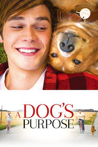A Dog's Purpose
