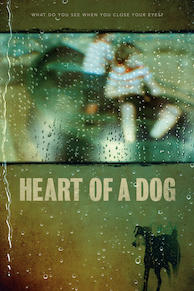 Heart of a Dog