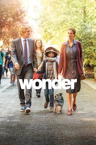 Wonder