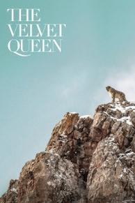 The Velvet Queen
