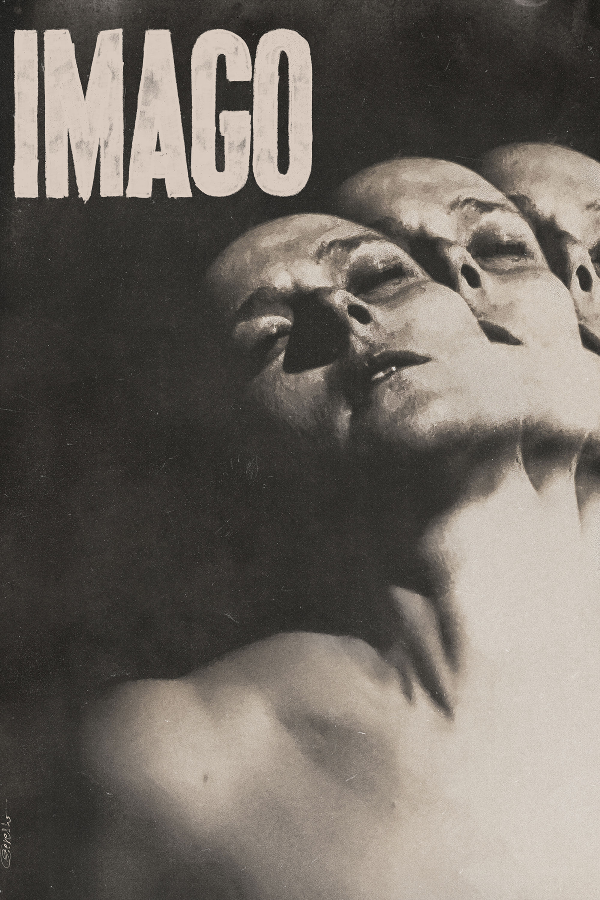 Imago