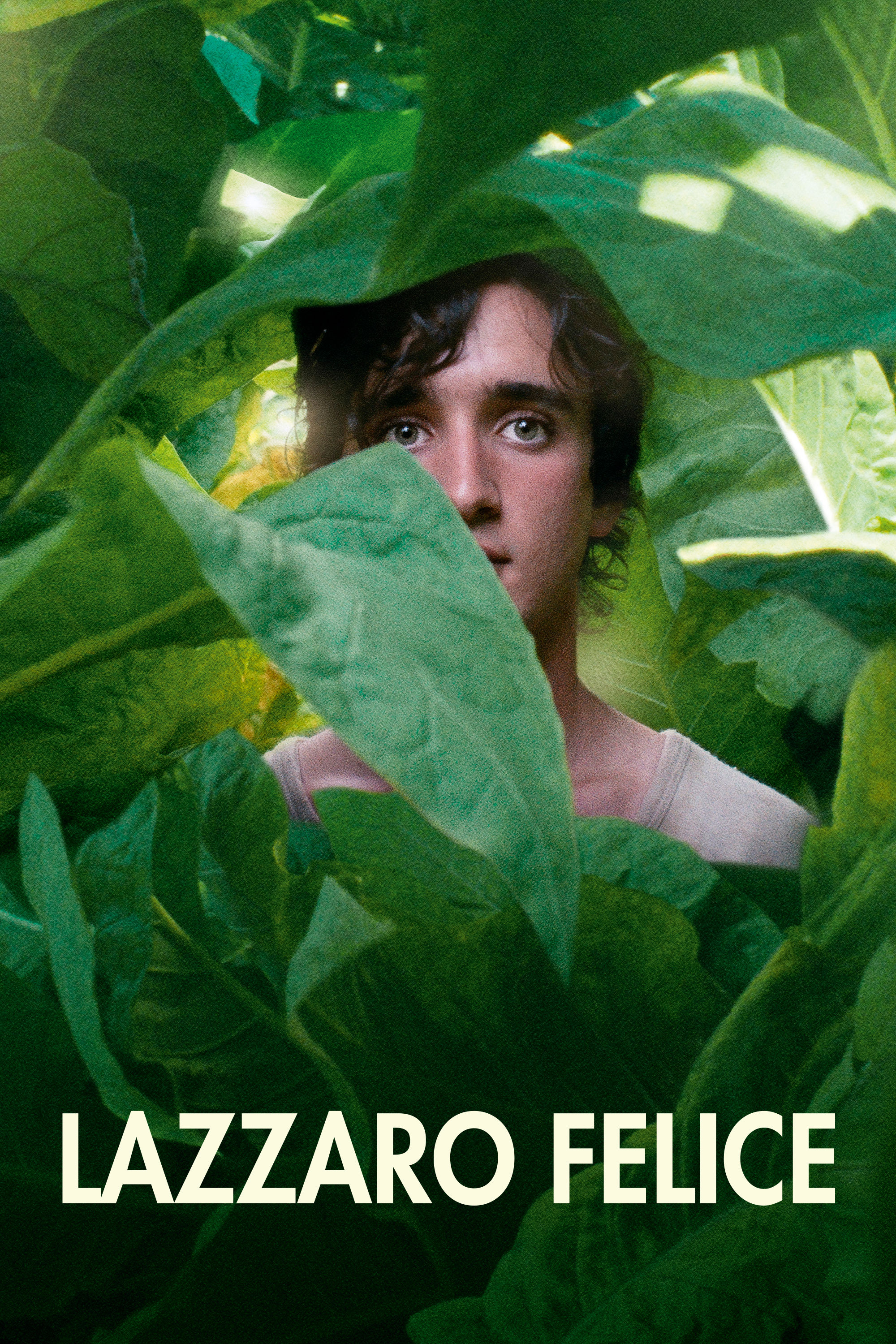 Lazzaro Felice