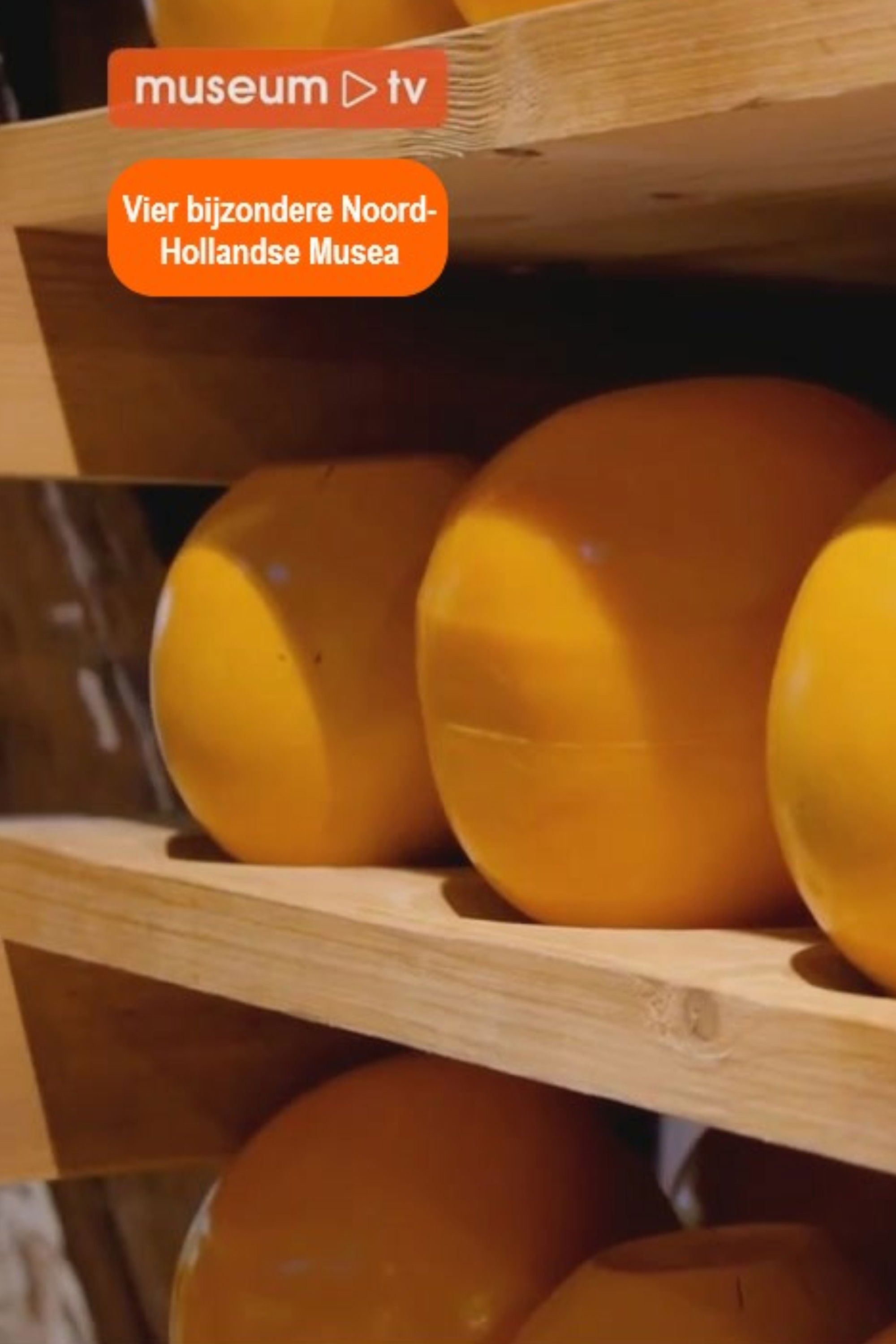 Vier bijzondere Noord-Hollandse musea