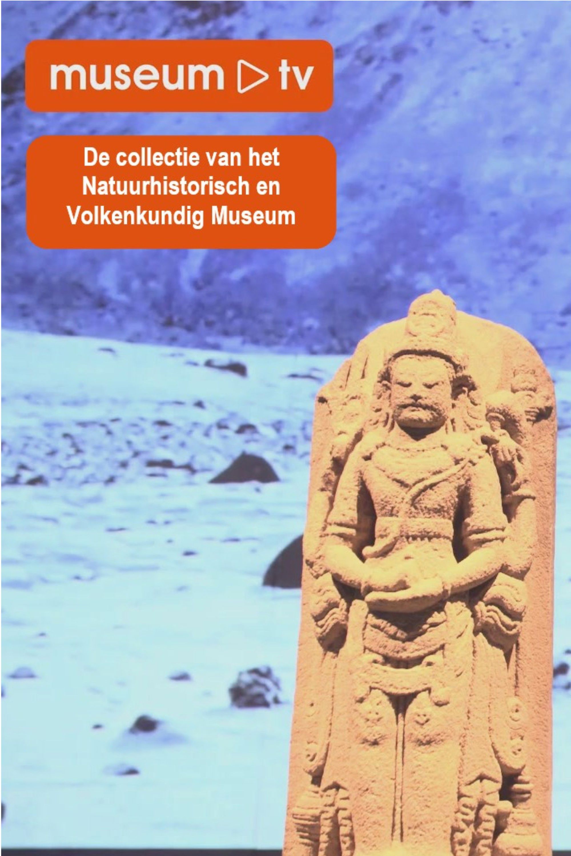 De collectie van het Natuurhistorisch en Volkenkundig Museum