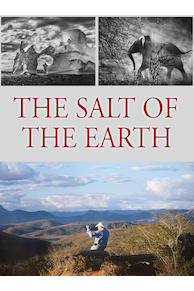 The Salt of the Earth